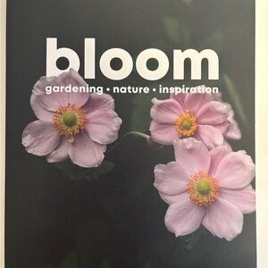 bloom Issue 13